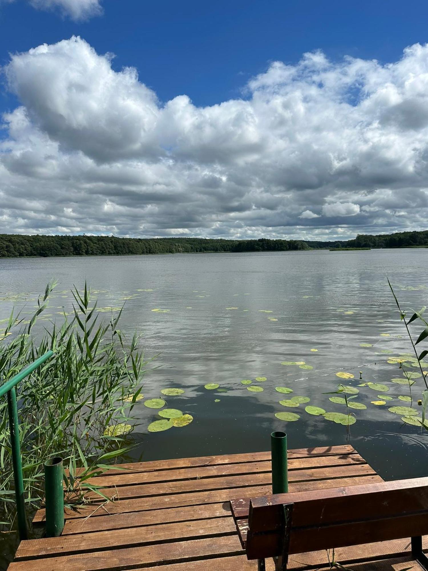 Brzezina Resort - Wille ジニン エクステリア 写真