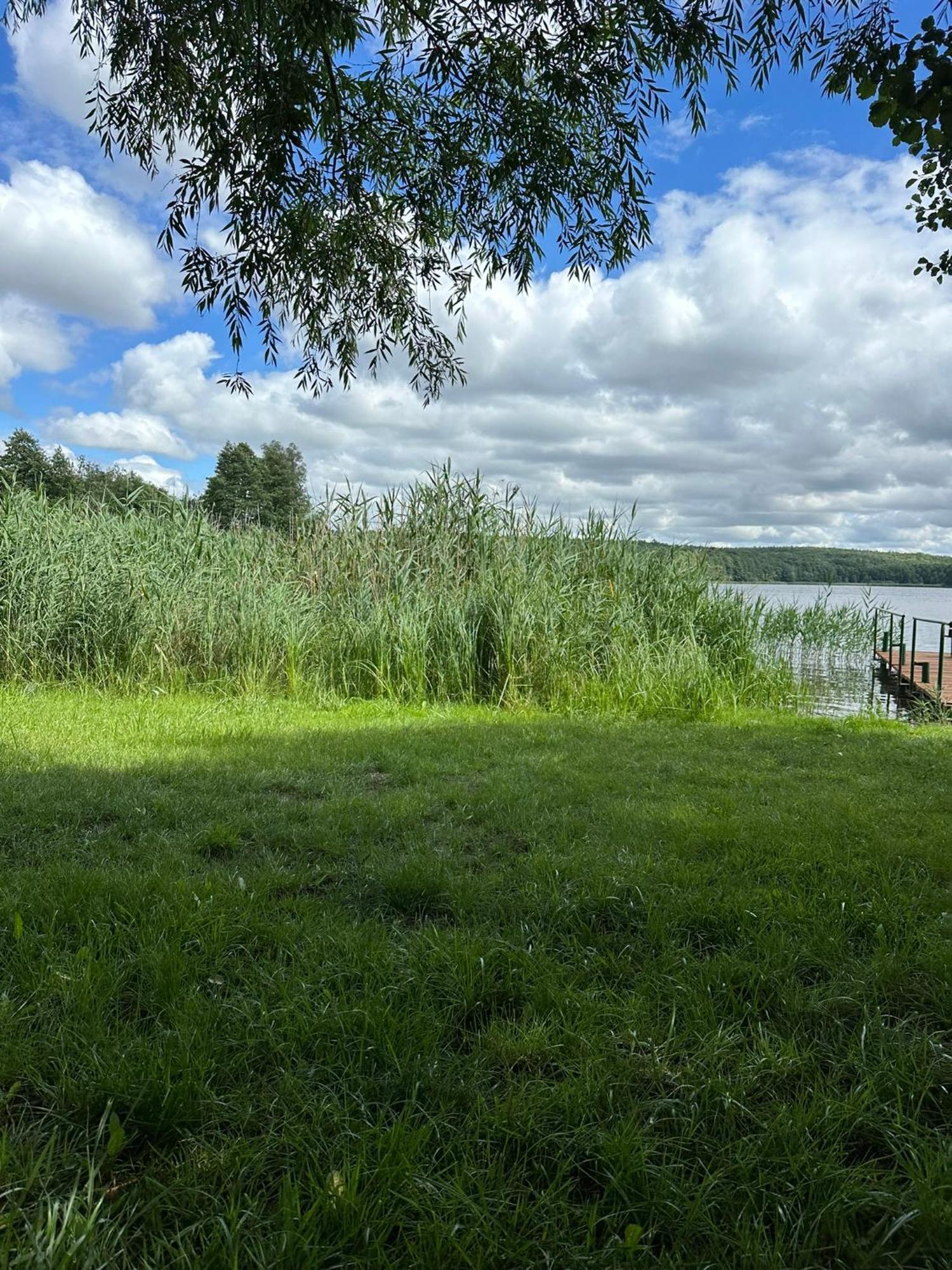 Brzezina Resort - Wille ジニン エクステリア 写真